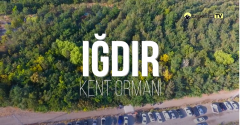 igdir